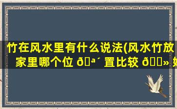 竹在风水里有什么说法(风水竹放家里哪个位 🪴 置比较 🌻 好)
